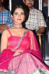 Hit Movie Pre Release Event Vizag